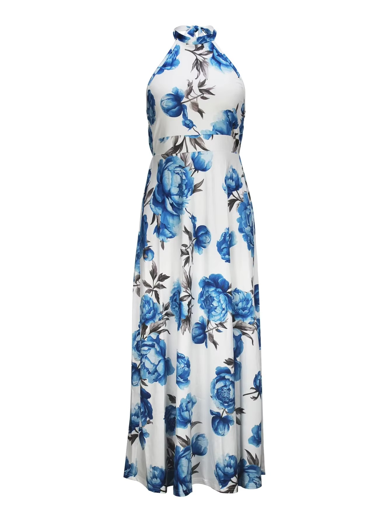 Blue Blossom Backless Maxi